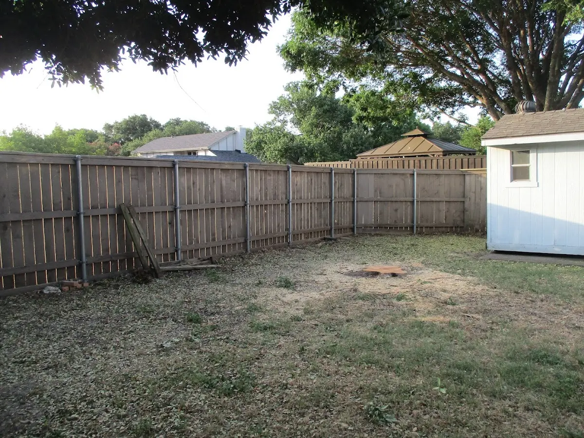 Cleared yard after professional tree removal in Dewey