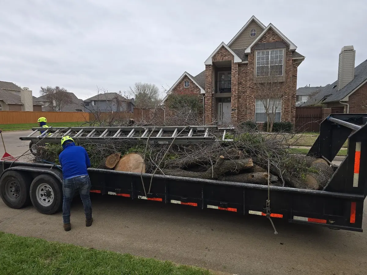 Expert Lot Clearing with proper safety equipment in Dewey